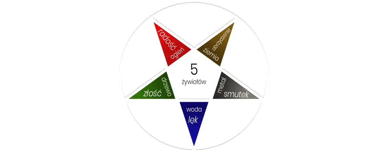 Zdjęcie Jak uwolnić emocje w totalnej biologii i odzyskać wewnętrzny spokój
