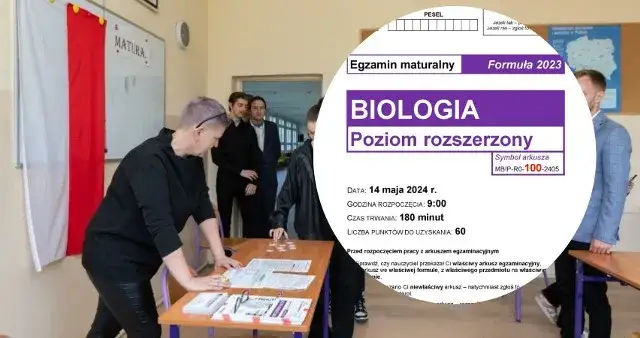 Zdjęcie Czy rozszerzona biologia jest trudna? Oto prawda, która zaskakuje