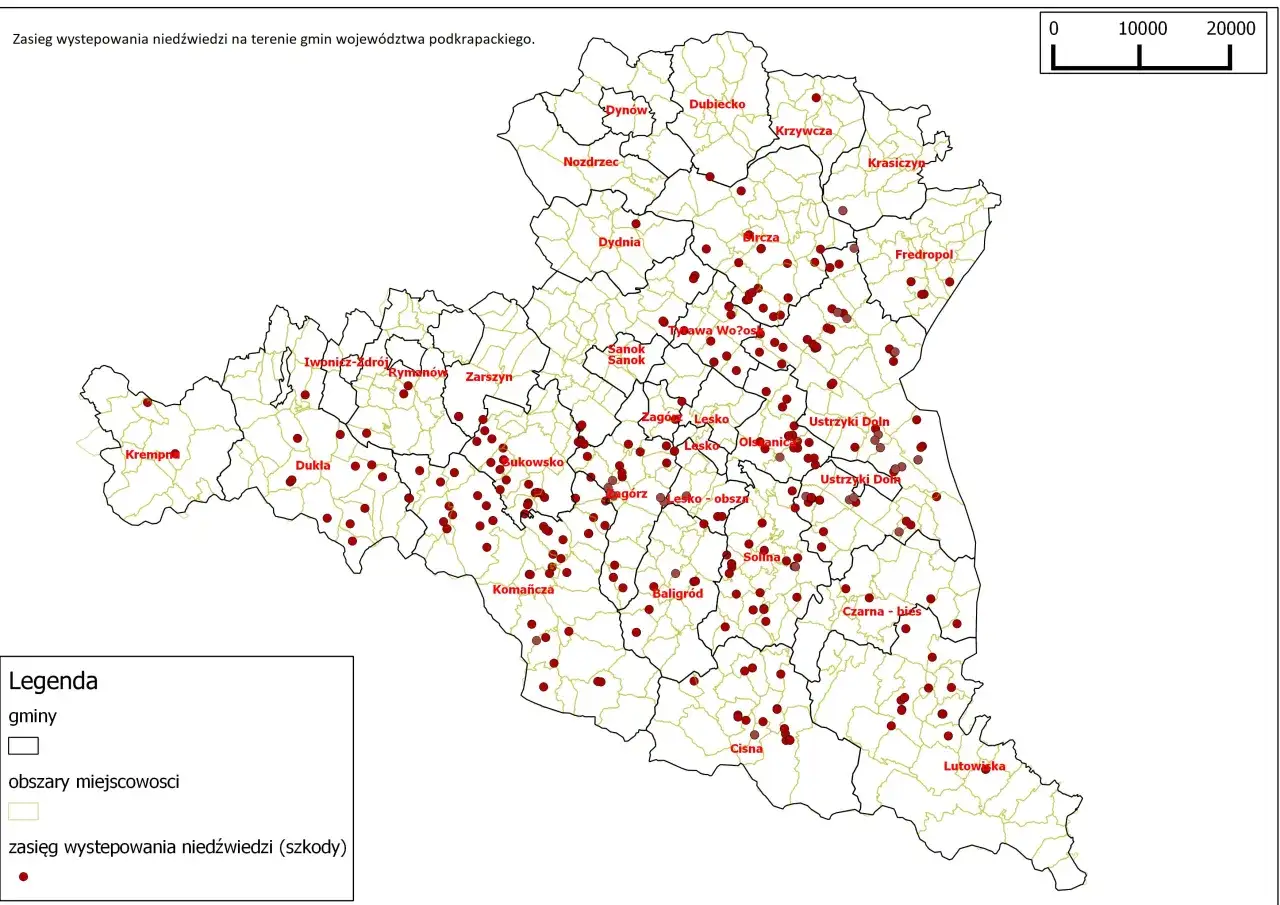 Mapa pokazuje, czy w Polsce są niedźwiedzie. Czerwone kropki oznaczają zasięg występowania niedźwiedzi w województwie podkarpackim.