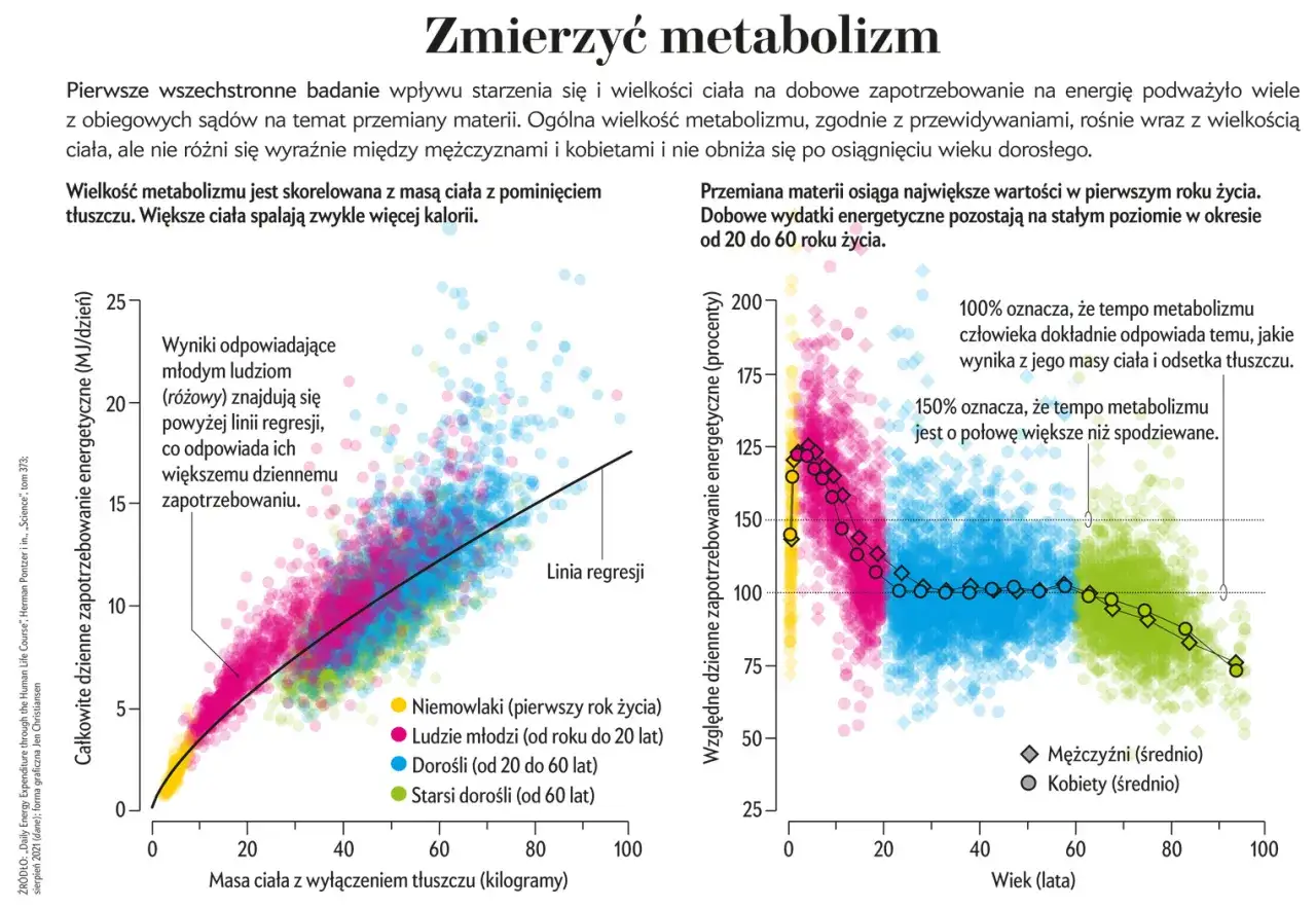 Wykresy pokazujące podstawowe zasady metabolizmu: zależność zapotrzebowania energetycznego od masy ciała i wieku, z podziałem na grupy wiekowe i płcie.
