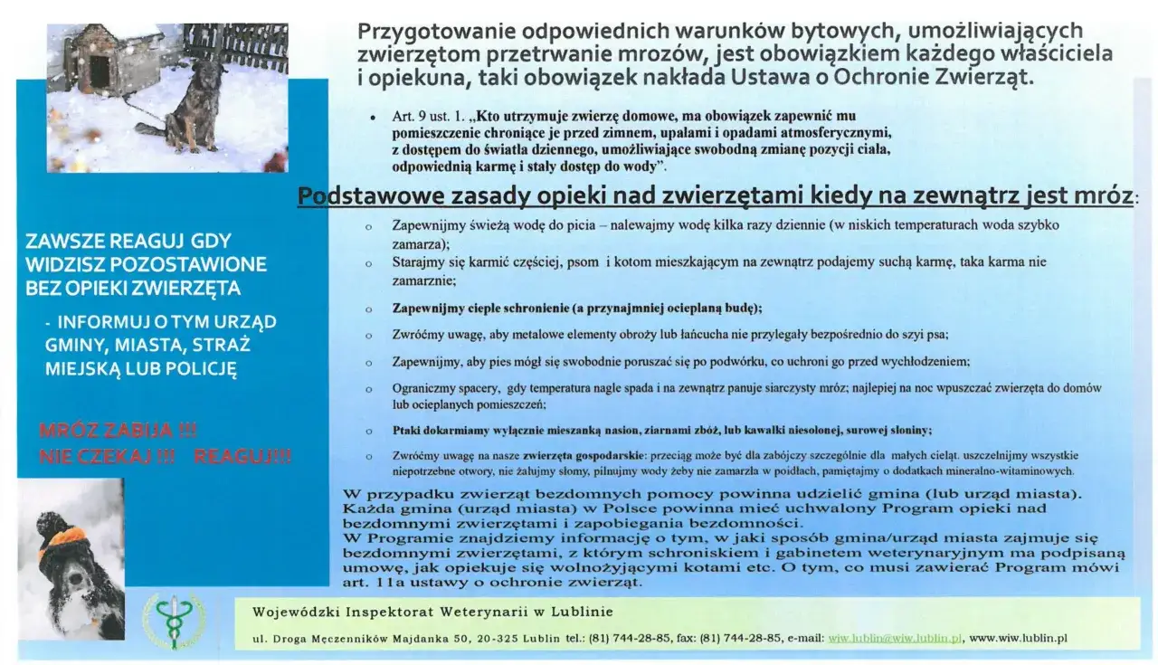 Pies na mrozie przy budzie. Jak klimat kształtuje różnorodność biologiczną? Informacje o opiece nad zwierzętami zimą.