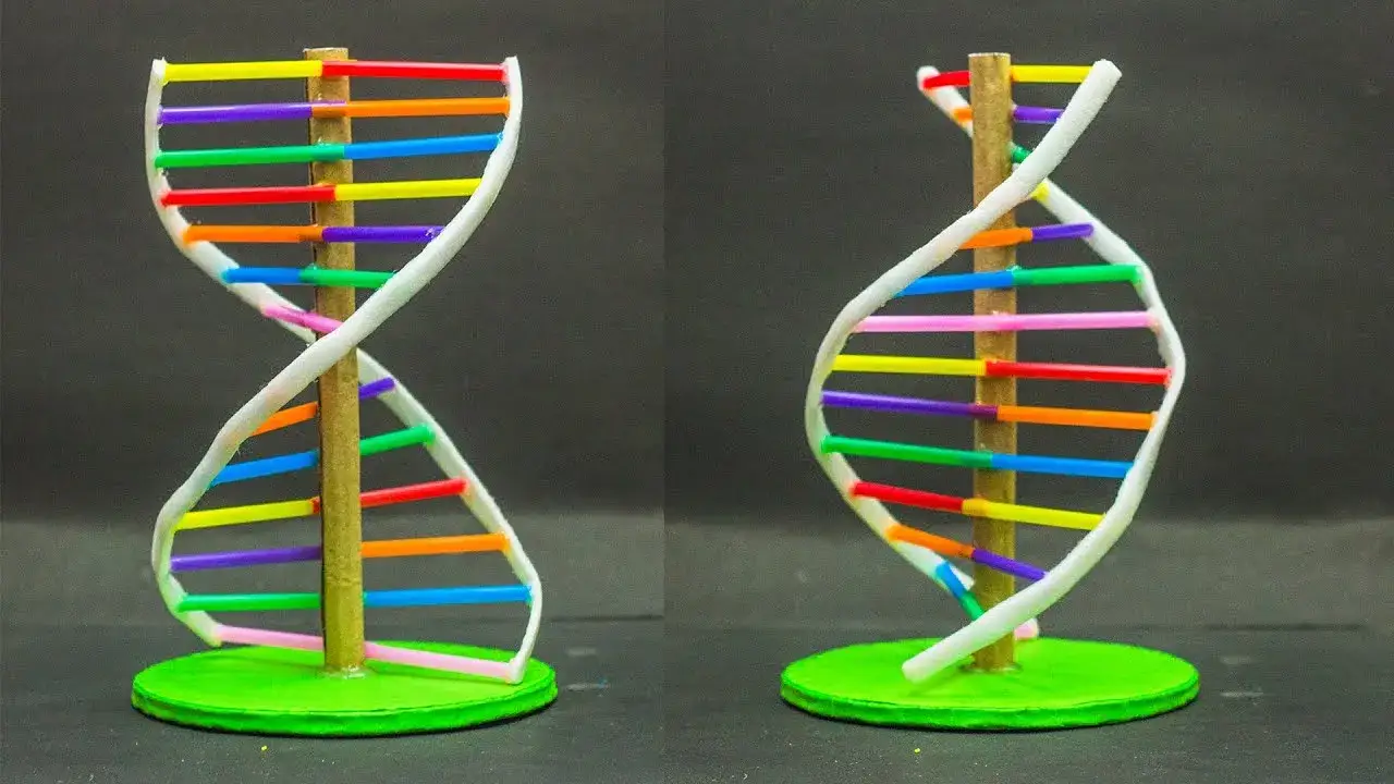 Zdjęcie Jak zrobić DNA na biologię: proste kroki do stworzenia modelu