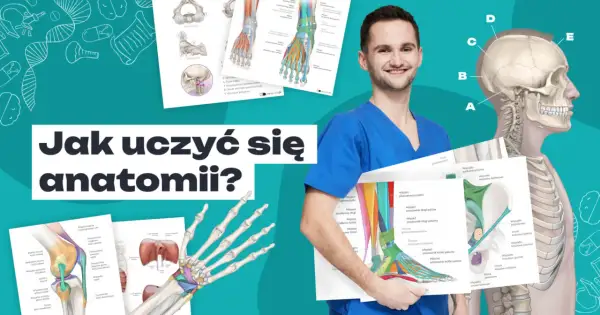 Uśmiechnięty student medycyny prezentuje materiały edukacyjne, pokazując jak się uczyć anatomii. Widoczne są ilustracje kości, mięśni i stawów.