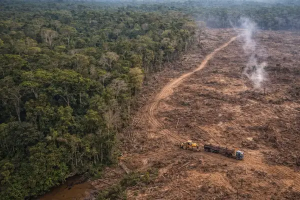 Widok z lotu ptaka na Amazonię, gdzie wylesianie niszczy las. Ciężarówka z drewnem i spychacz pracują na zniszczonym terenie, ukazując skutki wylesiania Amazonii.
