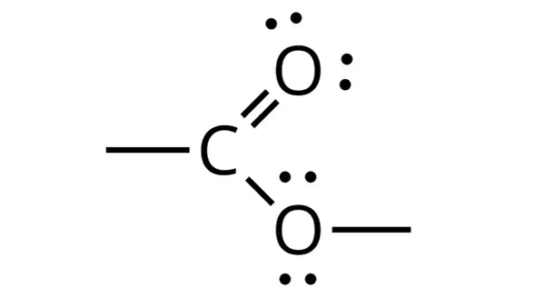 Struktura CO2. Dwa wiązania podwójne C=O i wolne pary elektronów. Czy CO2 jest polarne?