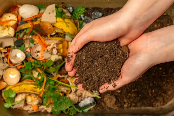 Dłonie trzymające ziemię, która powstała z rozkładu resztek organicznych. Tak destruenci określają rolę w ekosystemie, przetwarzając odpady w cenny nawóz.