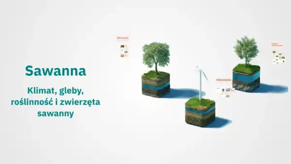 Jaki jest klimat na sawannie? Poznaj zaskakujące zmiany sezonowe