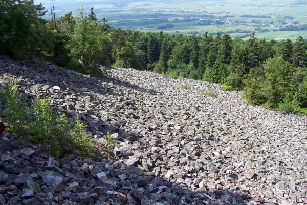 Kamieniste zbocze porośnięte drzewami, krajobraz przypominający ten z czasów, gdy panował co to klimat peryglacjalny.